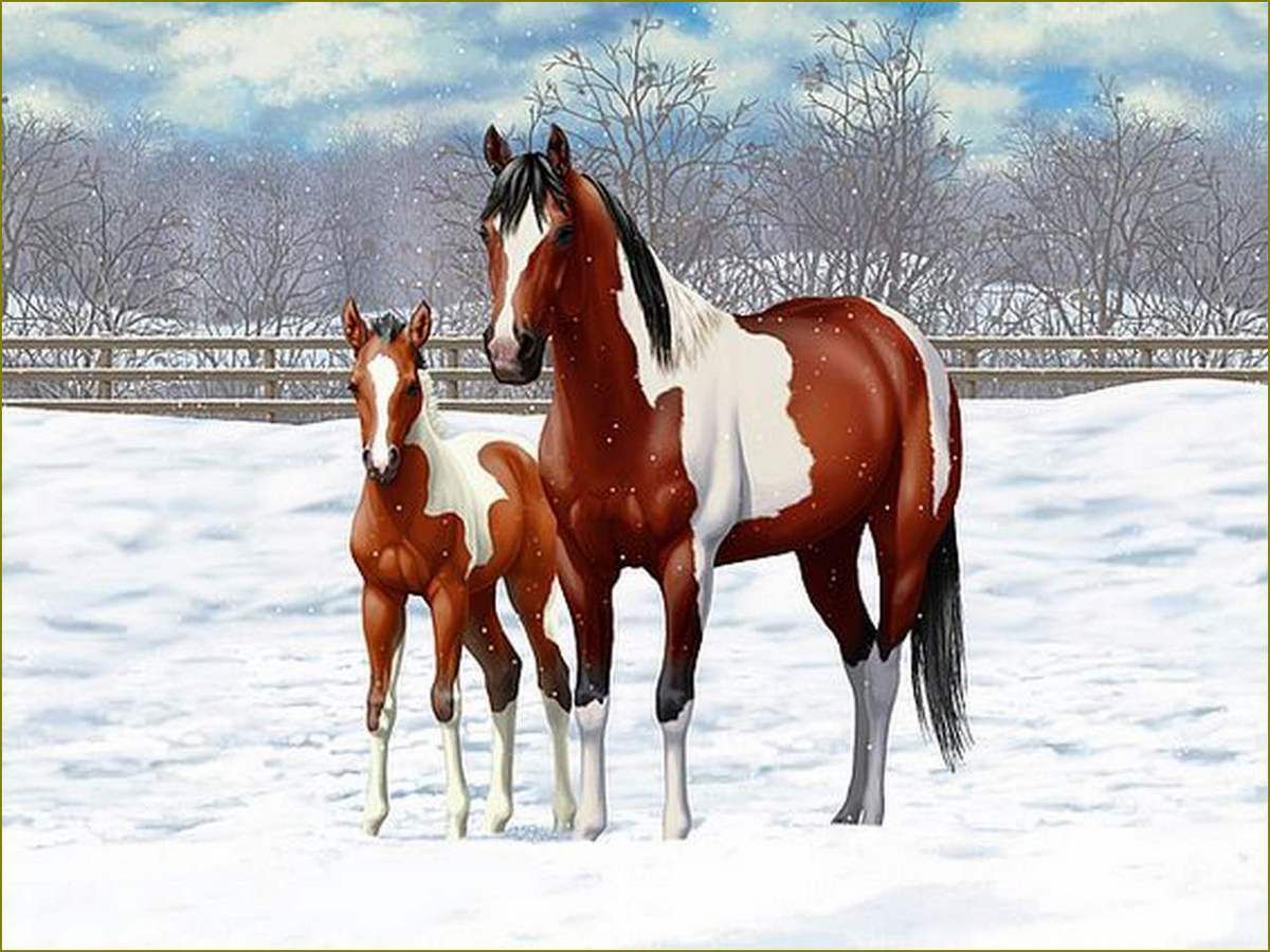 Les chevaux par les peintres - Crista Forest