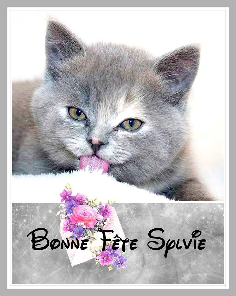 Gifs Bonne Fete Prenom Sylvie 5 Novembre Balades Comtoises Gifs Bonne Fete Prenom Sylvie 5 Novembre Balades Comtoises
