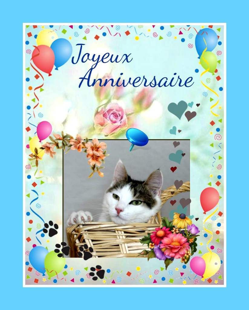 Cartes Anniversaires Chats A Imprimer Balades Comtoises Cartes Anniversaires Chats A Imprimer Balades Comtoises