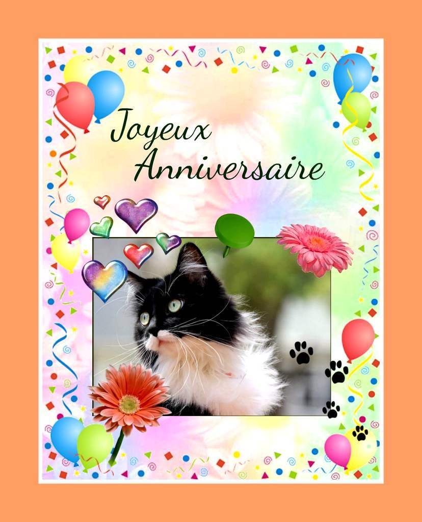Cartes Anniversaires Chats A Imprimer Balades Comtoises Cartes Anniversaires Chats A Imprimer Balades Comtoises