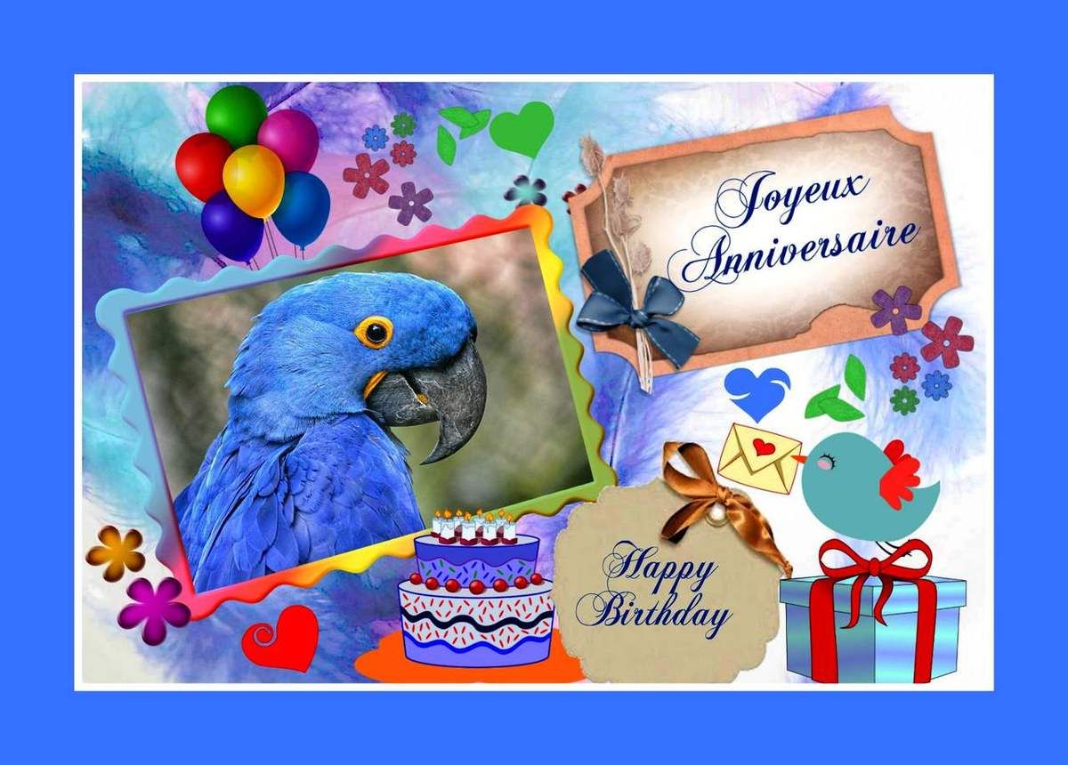 Cartes Anniversaires Oiseaux A Imprimer Balades Comtoises Cartes Anniversaires Oiseaux A Imprimer Balades Comtoises