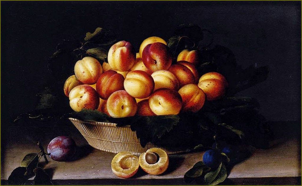 Louise Moillon (1610-1696) panier d'abricots