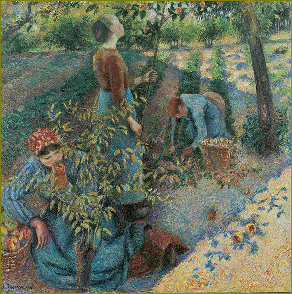 Camille Pissarro (1830-1903) la récolte des pommes