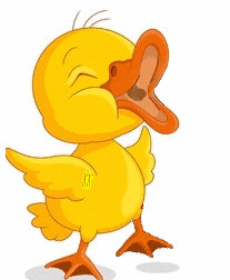 Canard