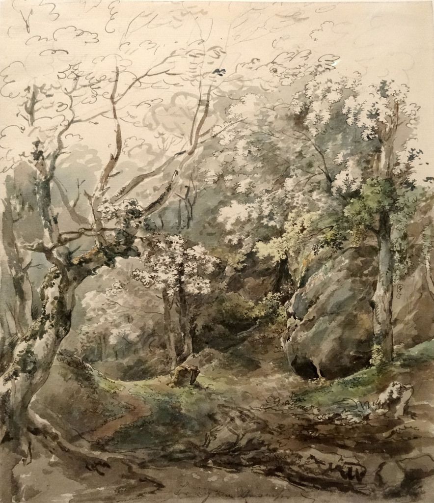 &quot;La quête de la ligne&quot; - Fondation Custodia - Avril 2017