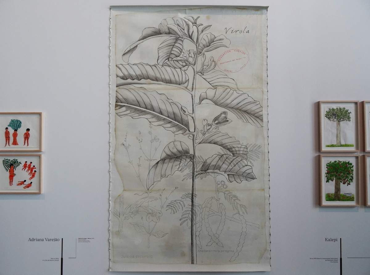 Adriana Varejao - Brésil