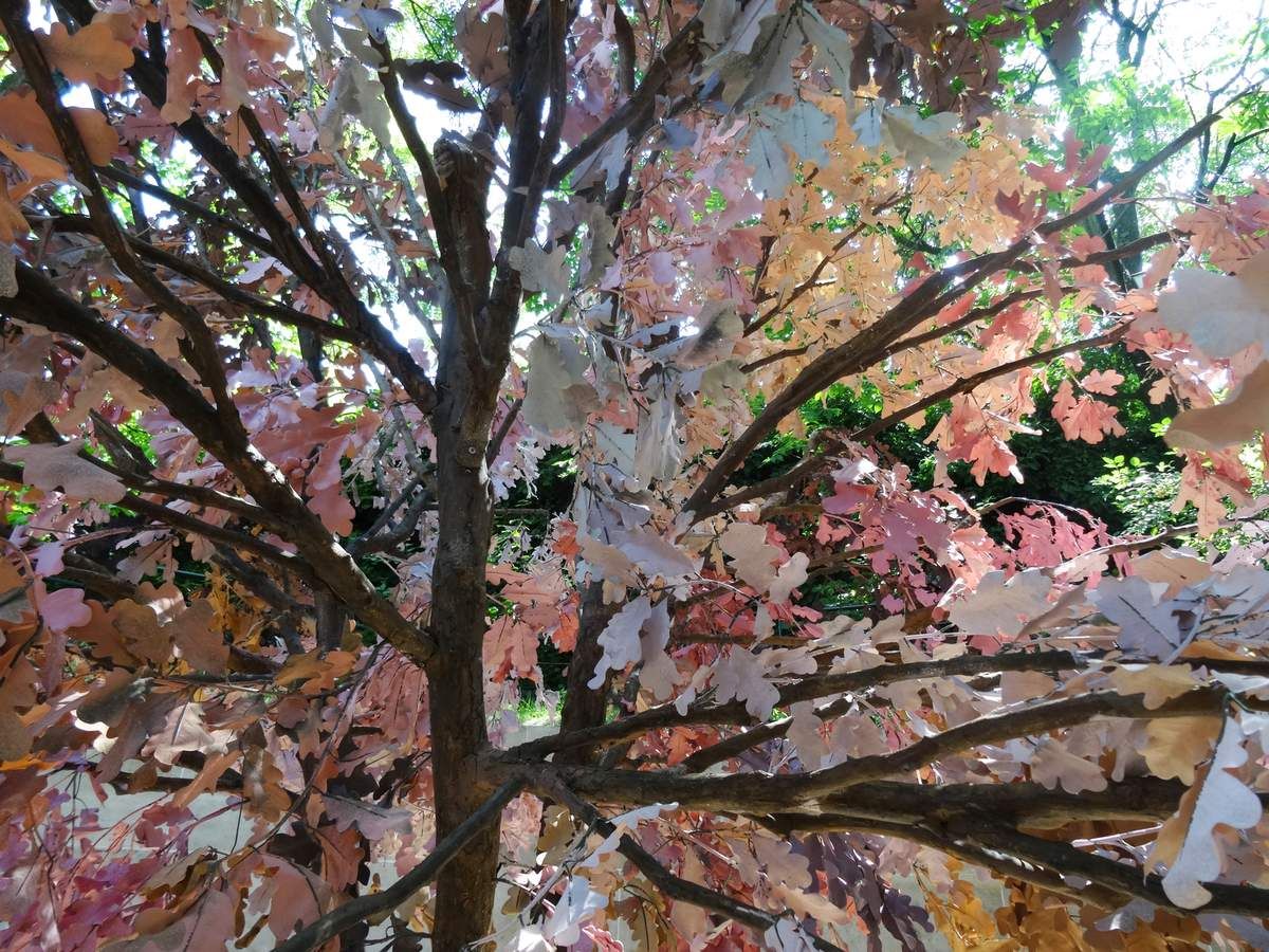 Fabrice Hyber - Chêne imaginaire - 2013 - Plastique, bois, acier, peinture.