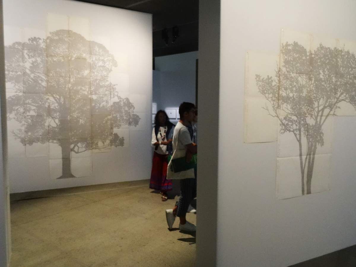 Johanna Calle - Perimetros - 2014 - Texte dactylographié sur papier notarial ancien -