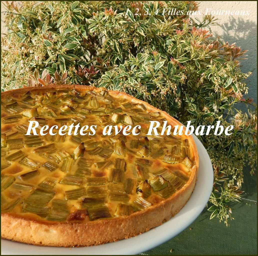 recette a la rhubarbe, recette avec rhubarbe, tarte rhubarbe, meilleure tarte rhubarbe, tiramisu rhubarbe, salade fruit rhubarbe, tarte rhubarbe meringuée, clafoutis rhubarbe, sirop rhubarbe, confiture rhubarbe, gelée rhubarbe, crumble rhubarbe, gateau rhubarbe