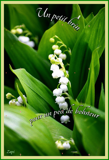 Gif animé muguet 1er mai gratuit - Le blog de zapi