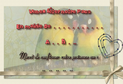 Cartes D Invitation Pacs Le Blog De Zapi Cartes D Invitation Pacs Le Blog De Zapi