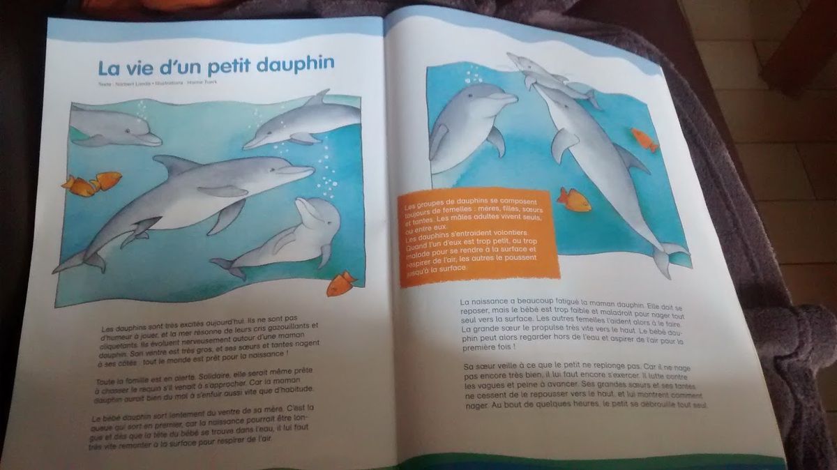 Documentaire sur les dauphins, Alex la souris magazine 4 - 7 ans 