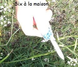 Mon outil essentiel pour cet été : couteau suisse : le canif onglier Victorinox fashion + pochette