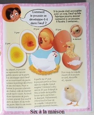 L'imagerie des Comment? Fleurus enfants imagerie interactive les animaux