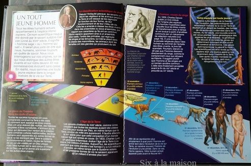la grande imagerie de chez Fleurus : l'Homme sa place depuis la formation de la Terre