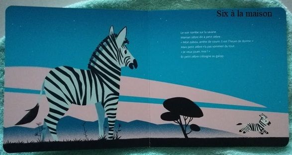 Au dodo Petit Zèbre! - Une histoire et au lit il est tard mais petit zèbre n'a pas sommeil