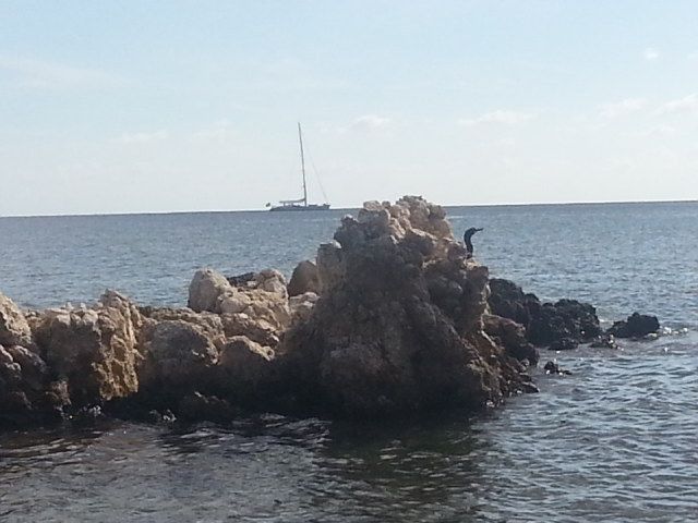 TUI Marathon Palma de Mallorca 2014