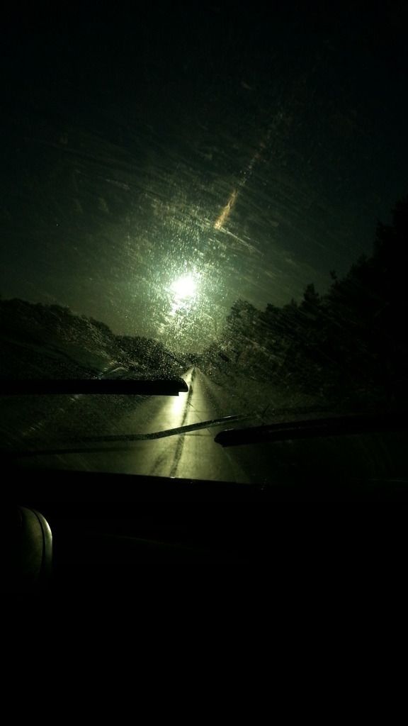 Frostwiesenlauf am 8. Februar 2015