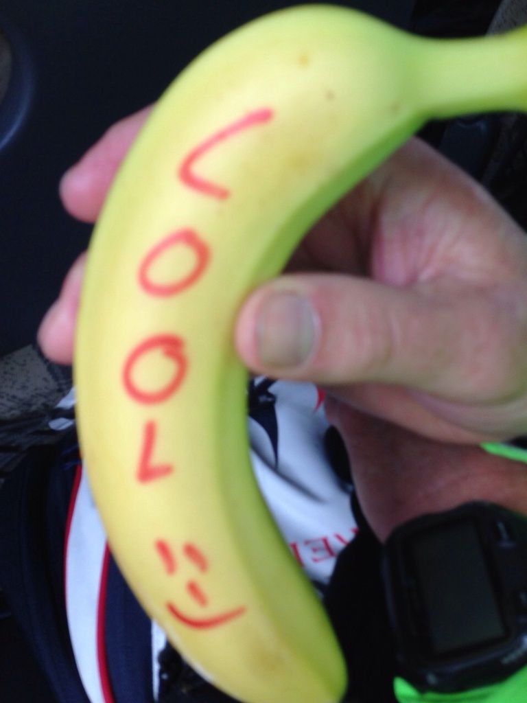 Nun steht es fest! Der Safadi Triathlon kommt nach dem Müritztriathlon! Umfangreiche Recherchen haben ergeben, dass man auch eine olympische Distanz nach einem halben Ironman durchziehen kann. Man nennt diesen Leistungsaufbau auch positives Wegdenken von Trainingsplänen! Ich wußte es!