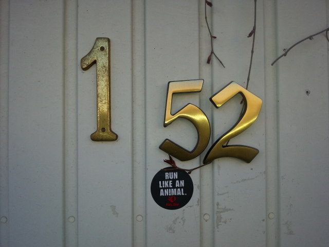 Angekommen und meine Gurkensammlung erweitert.