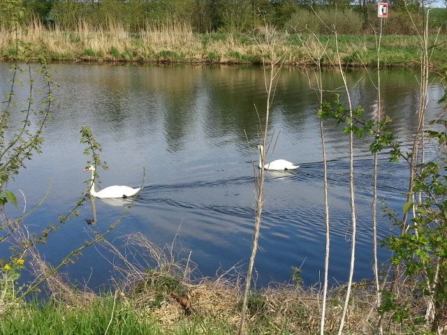 Projektende...Projektplanung