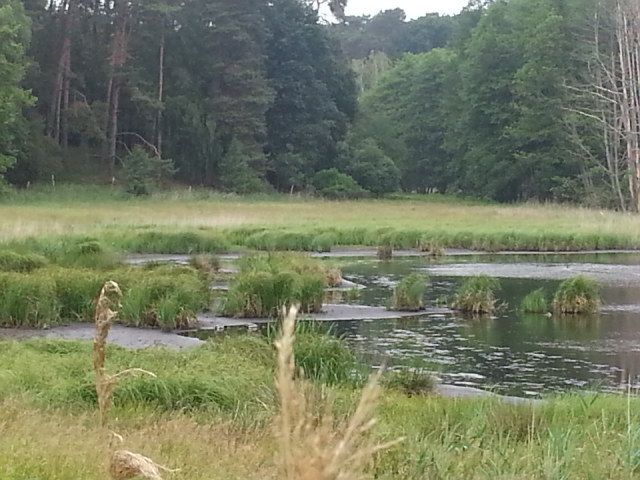 Beim Vorbeifahren nicht gesehen...