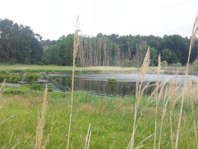 Beim Vorbeifahren nicht gesehen...