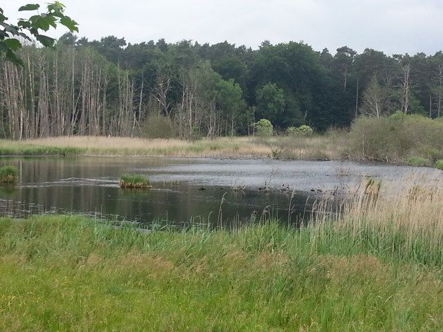 Beim Vorbeifahren nicht gesehen...