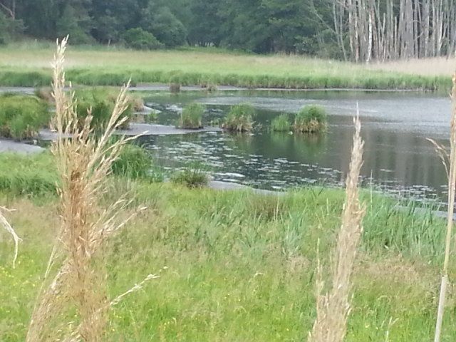 Beim Vorbeifahren nicht gesehen...