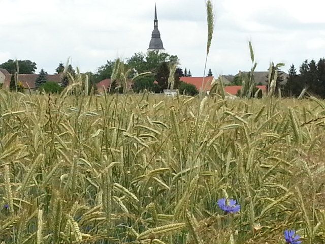 Großthiemig am 21. Juni 2015
