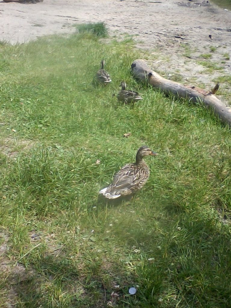 Das Ausziehn des Neo muß noch geübt werden. Also noch ein paar mal ...bevor es los geht!