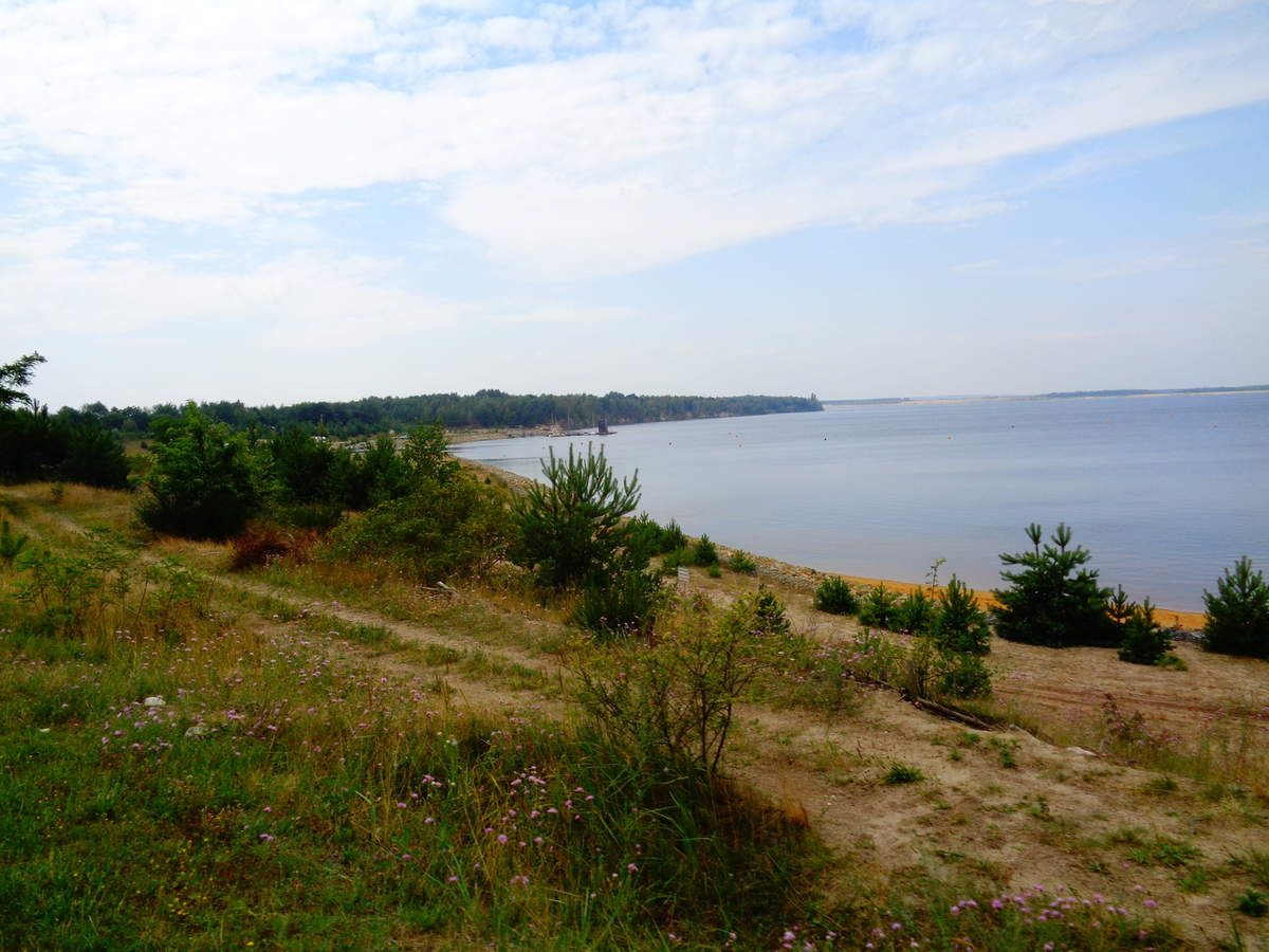 Senftenbergwochenende