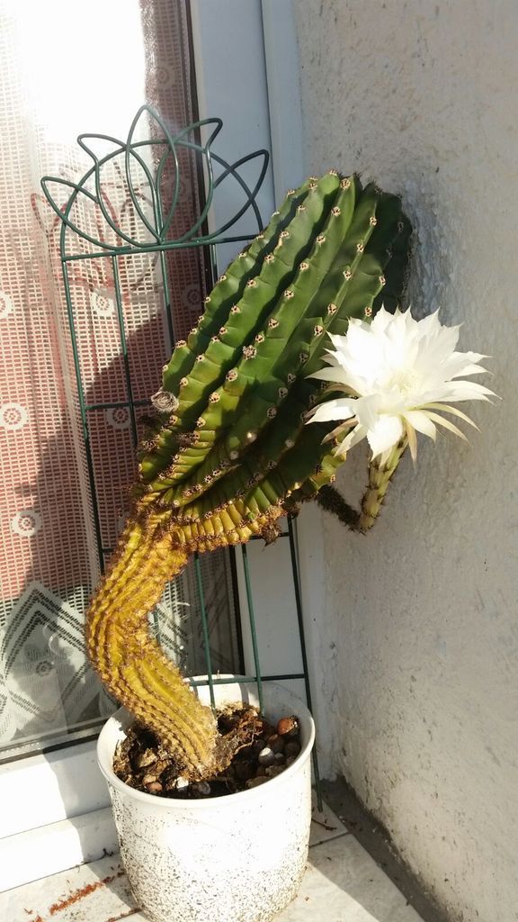 September kann so toll sein!