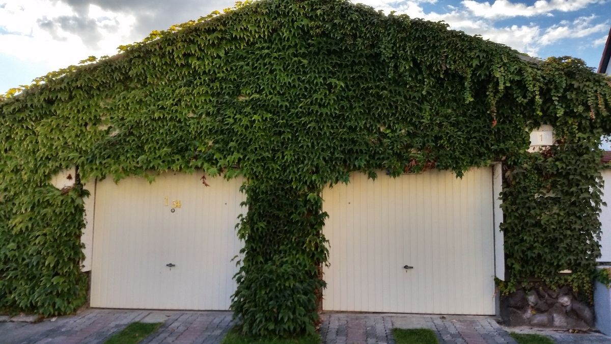 BMW 42. Berlin Marathon