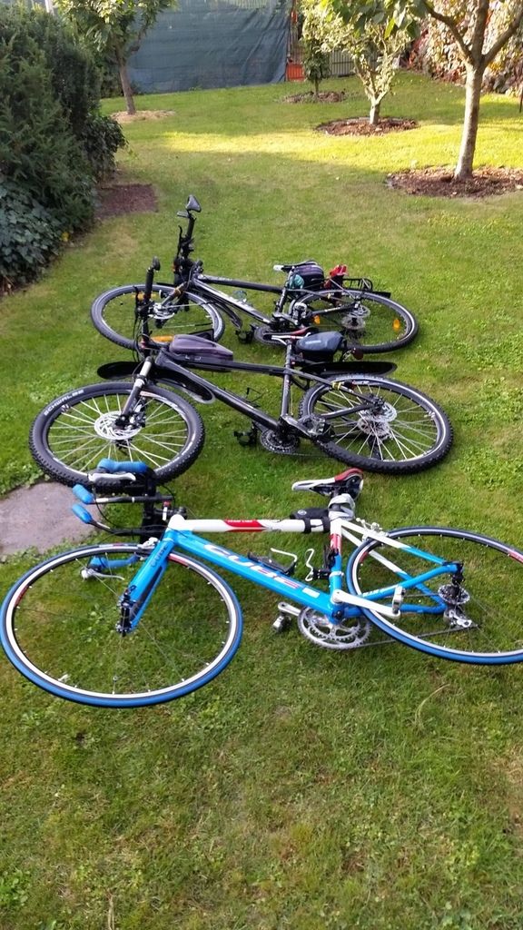 Brockenvorbereitungstraining mit Kürbiseinlage