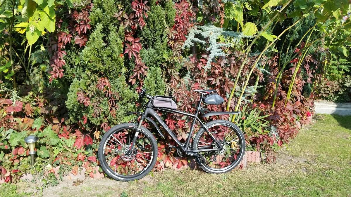 Brockenvorbereitungstraining mit Kürbiseinlage