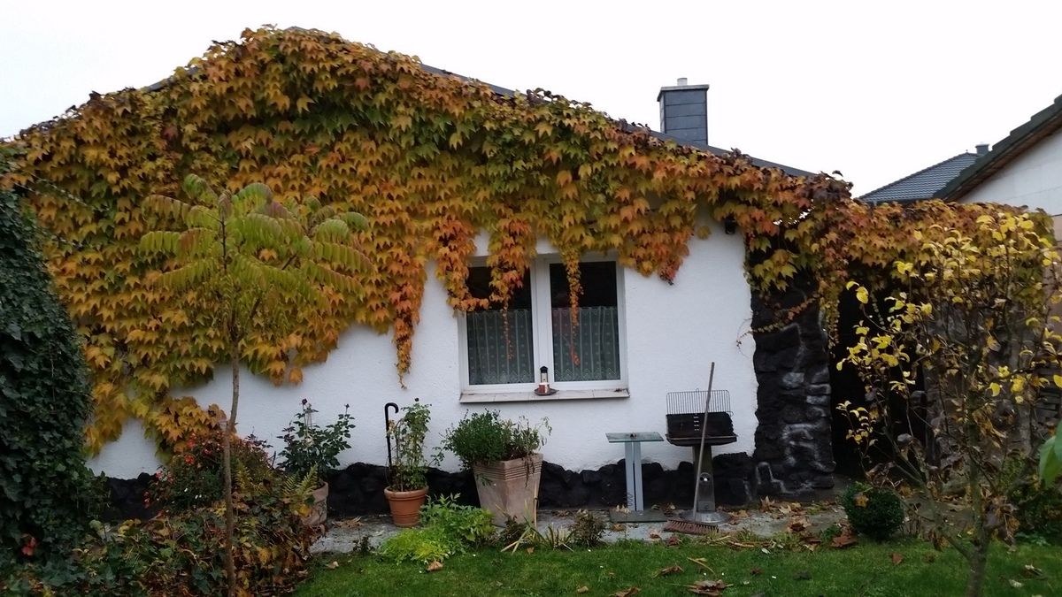 Ein tolles "Erlebniswochenende"!