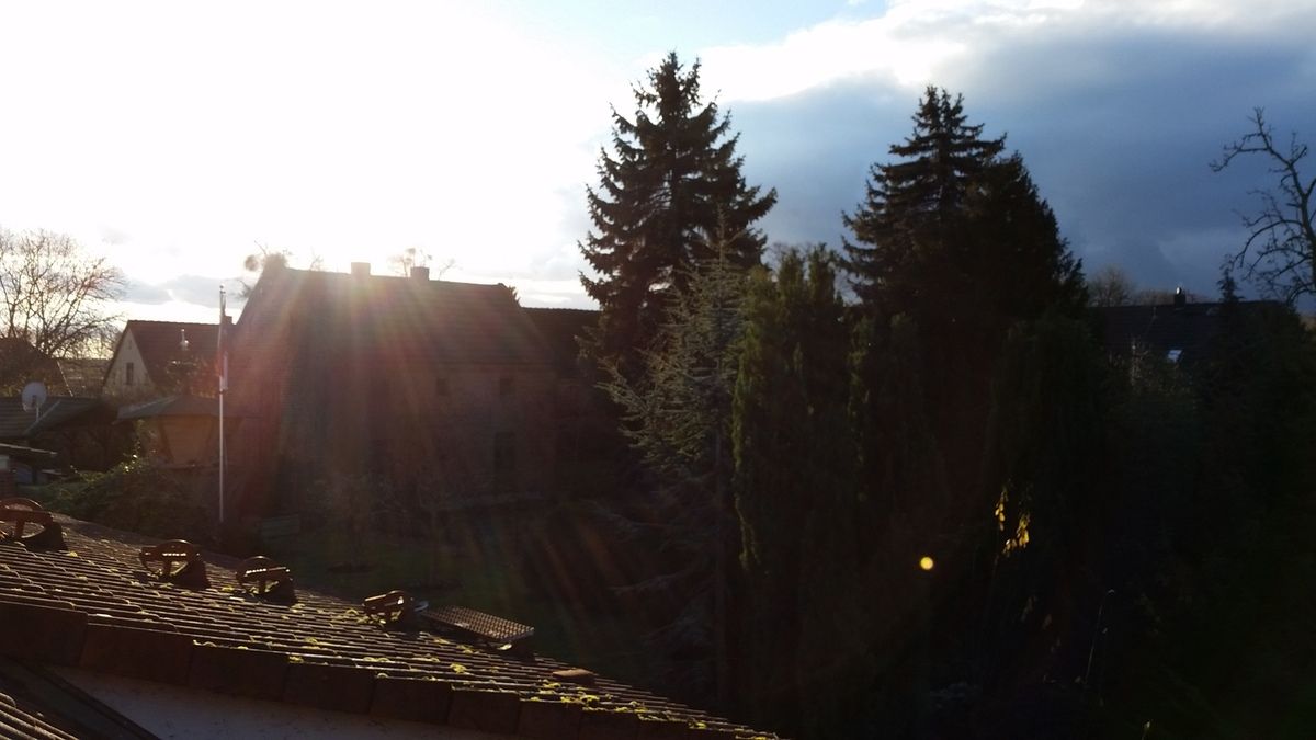 Gartenarbeit 2015 ist erledigt.