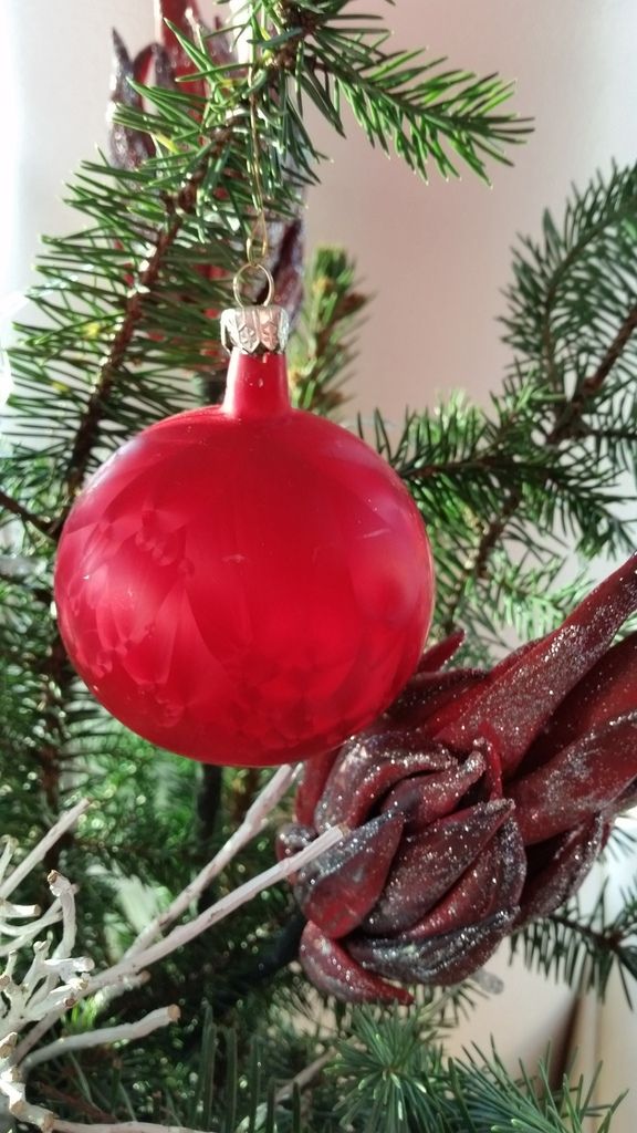 16. Nikolauslauf über 6,6 Km