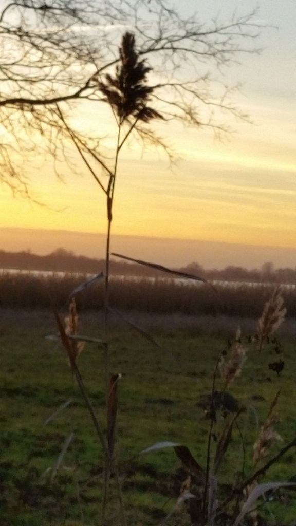 1992 - 2015 ... 28 Minuten