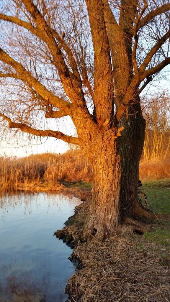 1992 - 2015 ... 28 Minuten