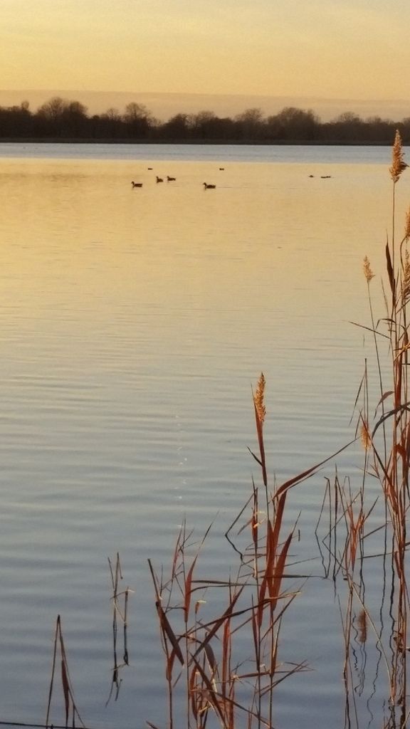 1992 - 2015 ... 28 Minuten