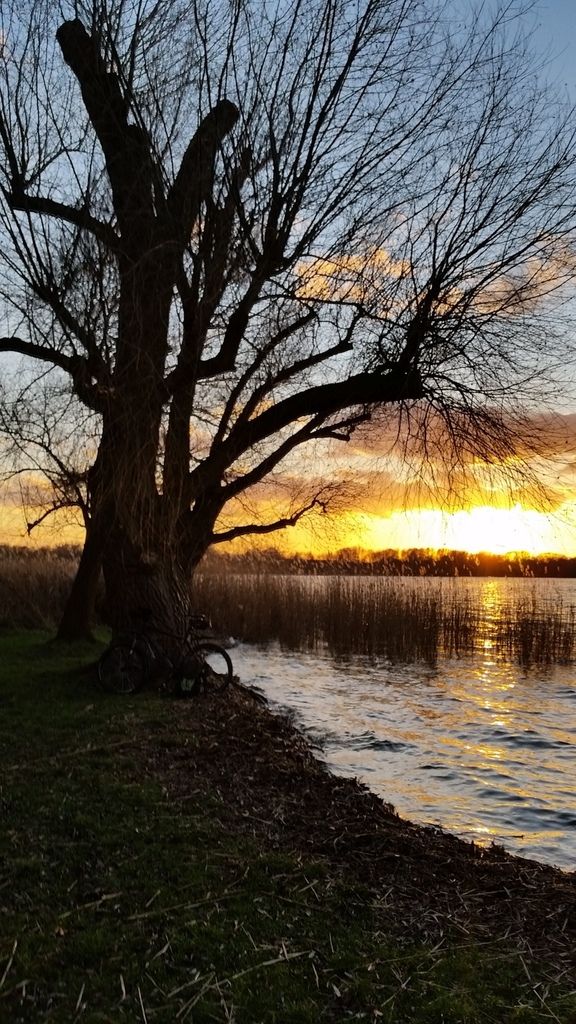 1992 - 2015 ... 28 Minuten