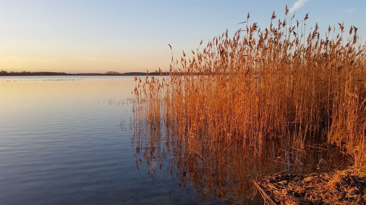 1992 - 2015 ... 28 Minuten