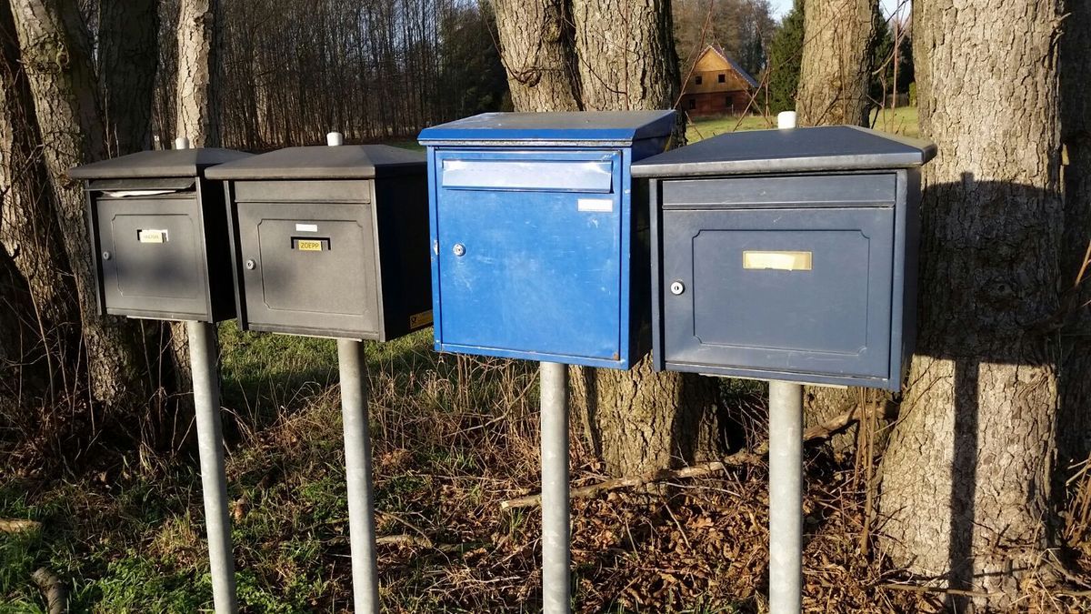 Frostwiesenlauf am 7. Februar 2016, Gerhard Adolph und mehr!