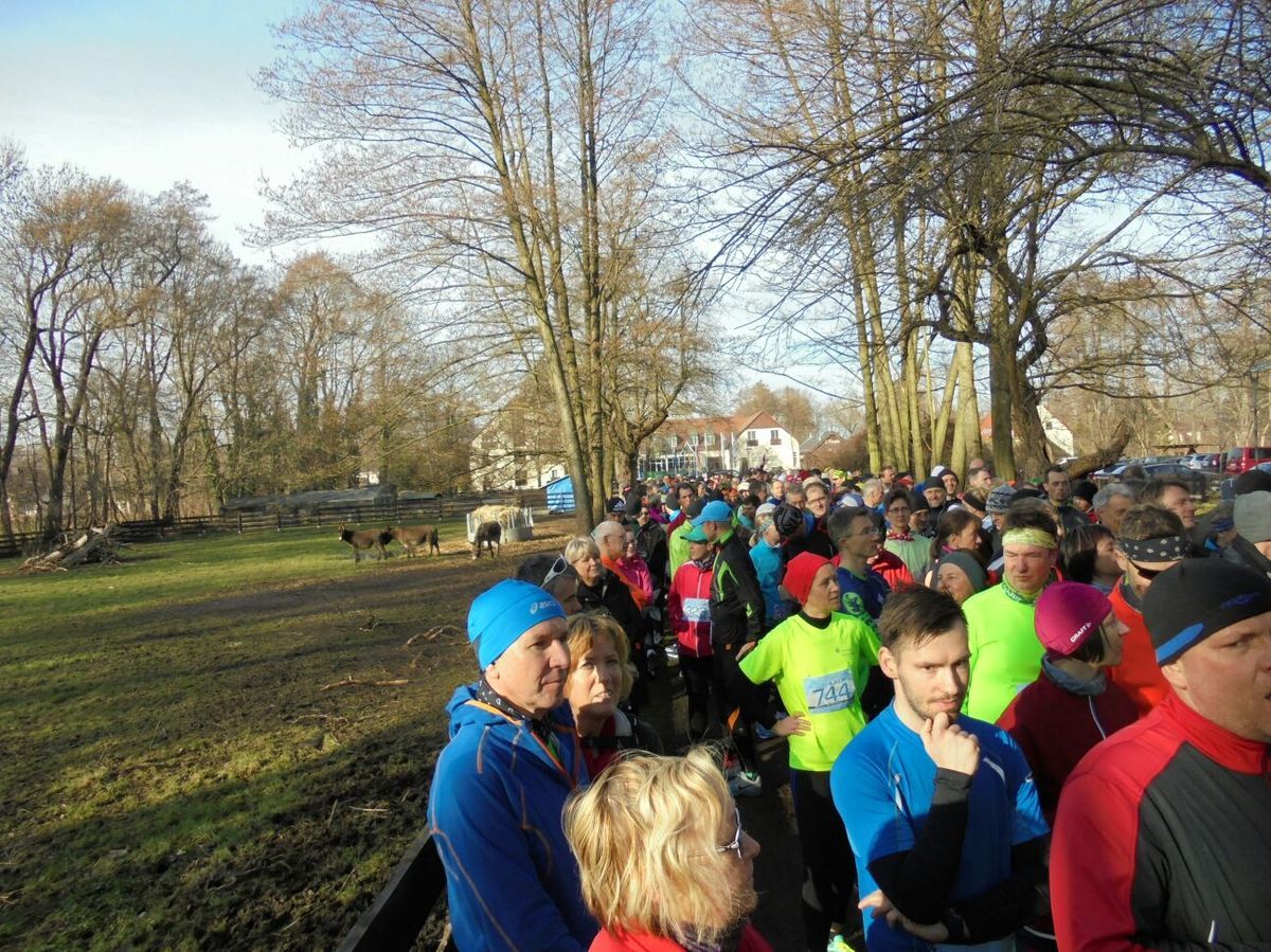 Frostwiesenlauf am 7. Februar 2016, Gerhard Adolph und mehr!