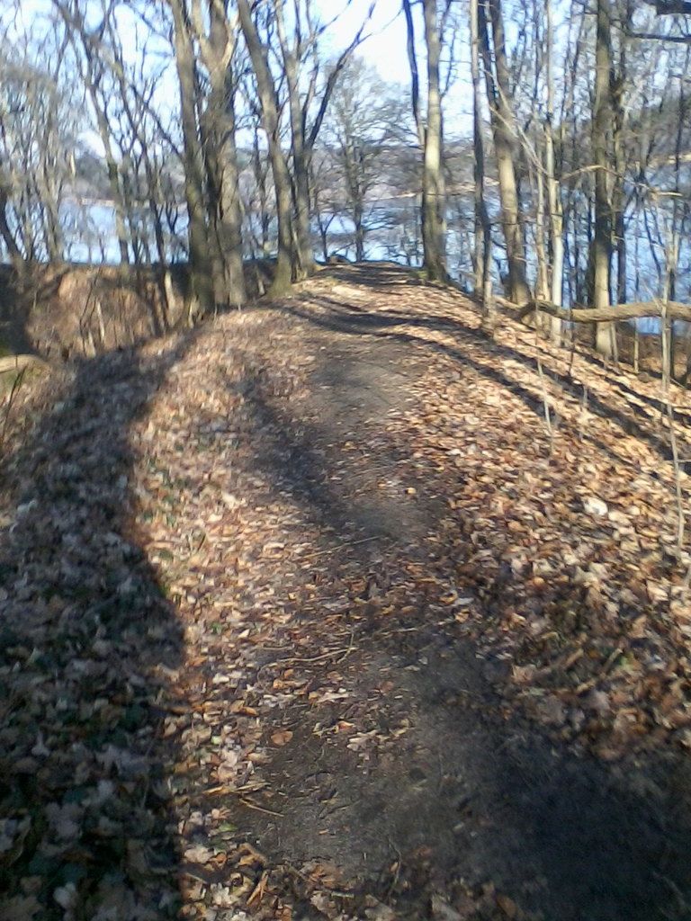 Trail- und Bergtraining bis zum...es reicht.