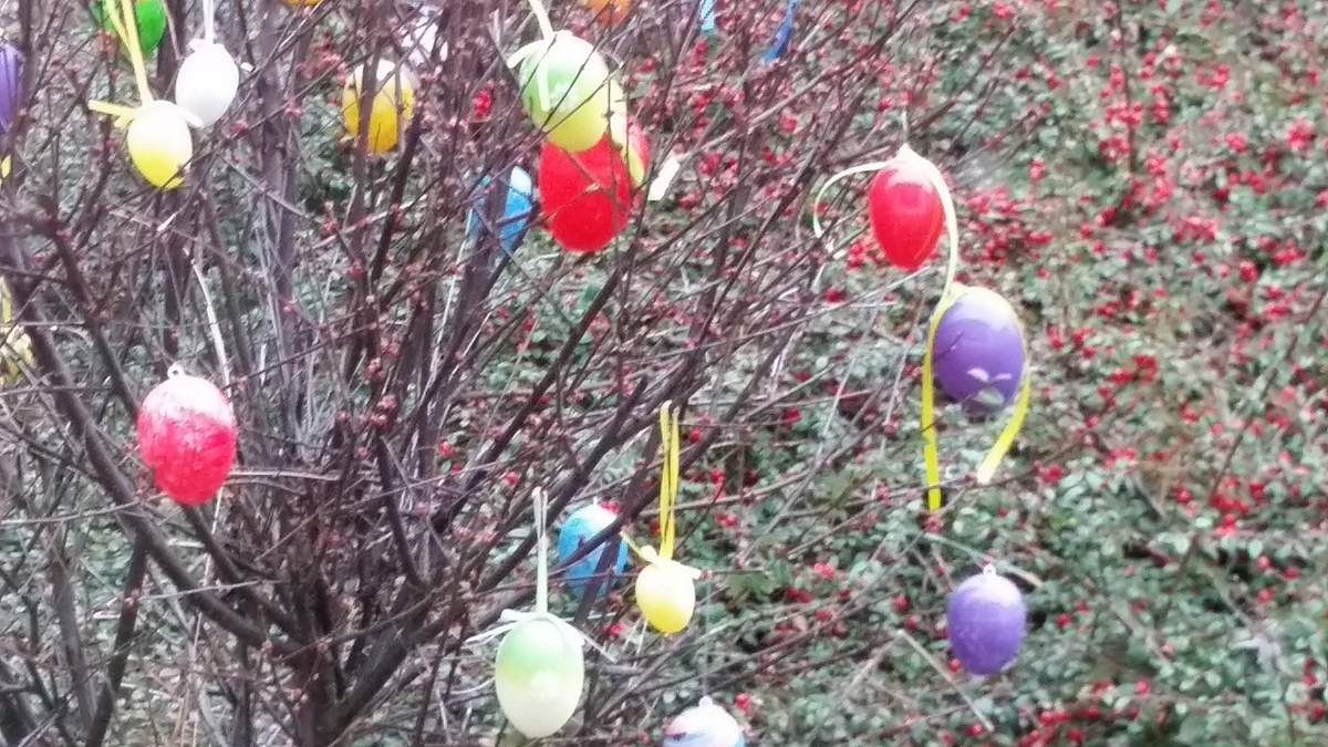 Gut reingekommen...Schneeglöckchenlauf