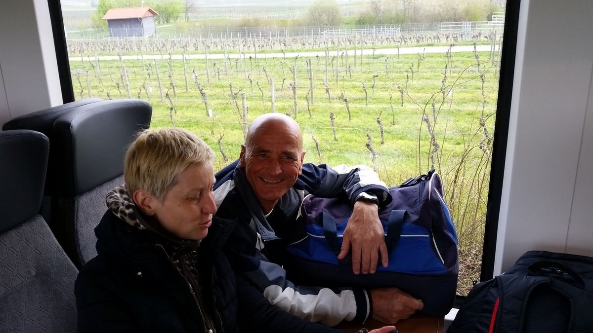 1o. Marathon Deutsche Weinstraße