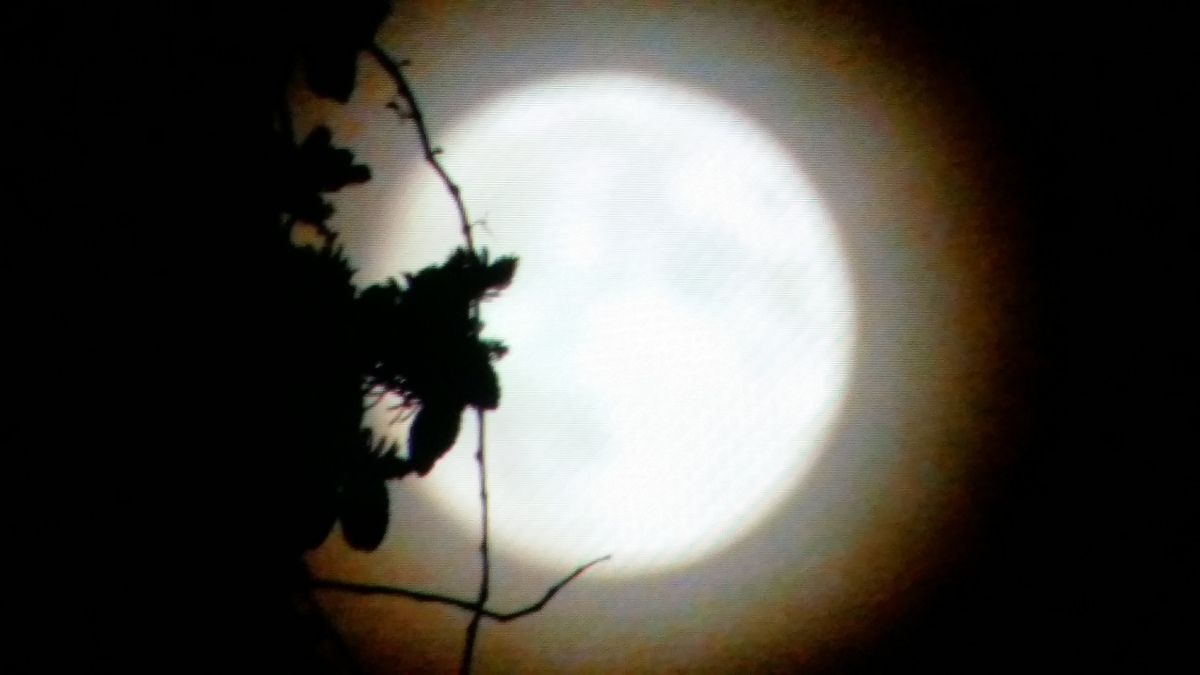 Motivationsbilder...